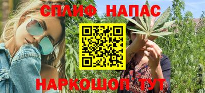 спиды Гагарин