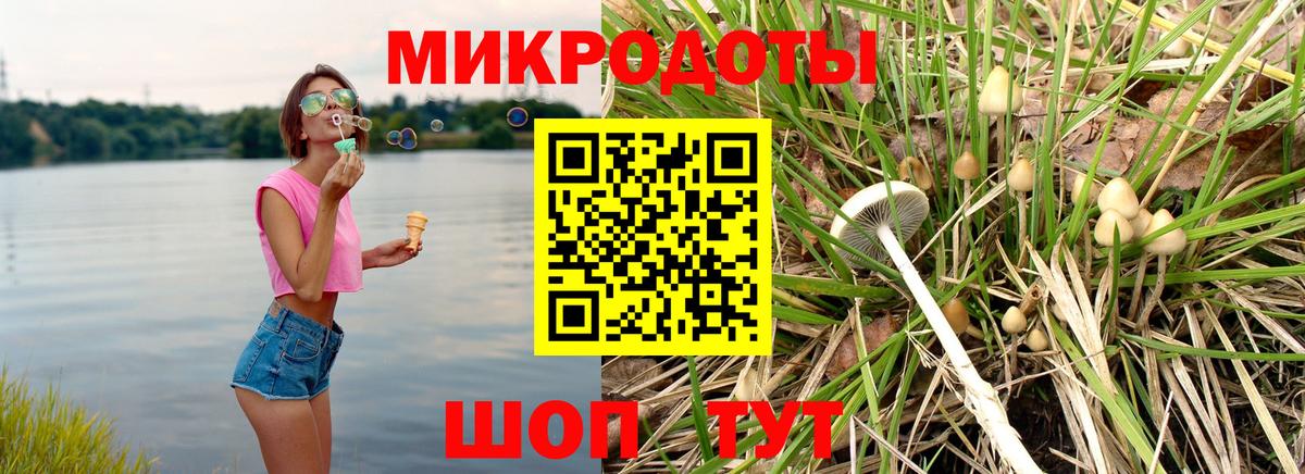 наркотики  Вход с VPN  Псилоцибиновые грибы Cubensis  Новочеркасск  Псилоцибиновые грибы Psilocybine cubensis 